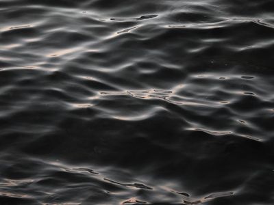 Soft pink light waves symbolizing stability and calmness